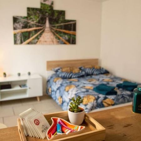 Studio Cosy Tv Wifi Confortable Et Chaleureux Gaillon Eksteriør bilde